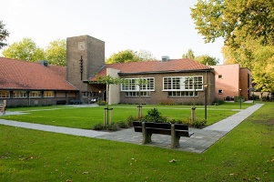 plataan_vanaf_tuin (47K)